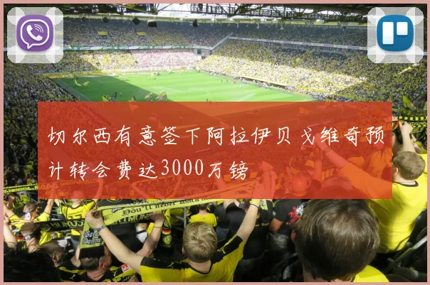 切尔西有意签下阿拉伊贝戈维奇预计转会费达3000万镑